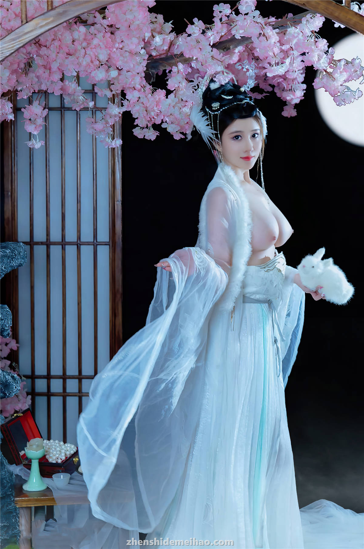 年年Nnian - Fairy Chang'e (29)