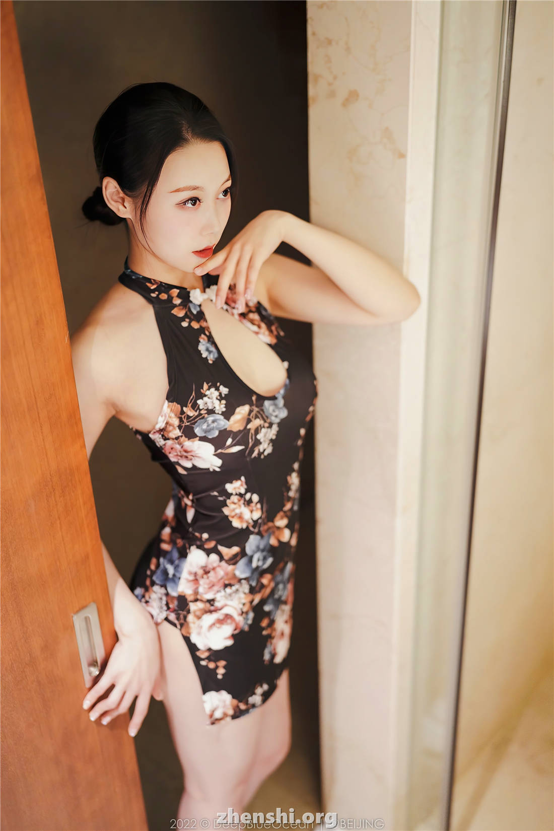 zhenshi.org (152)