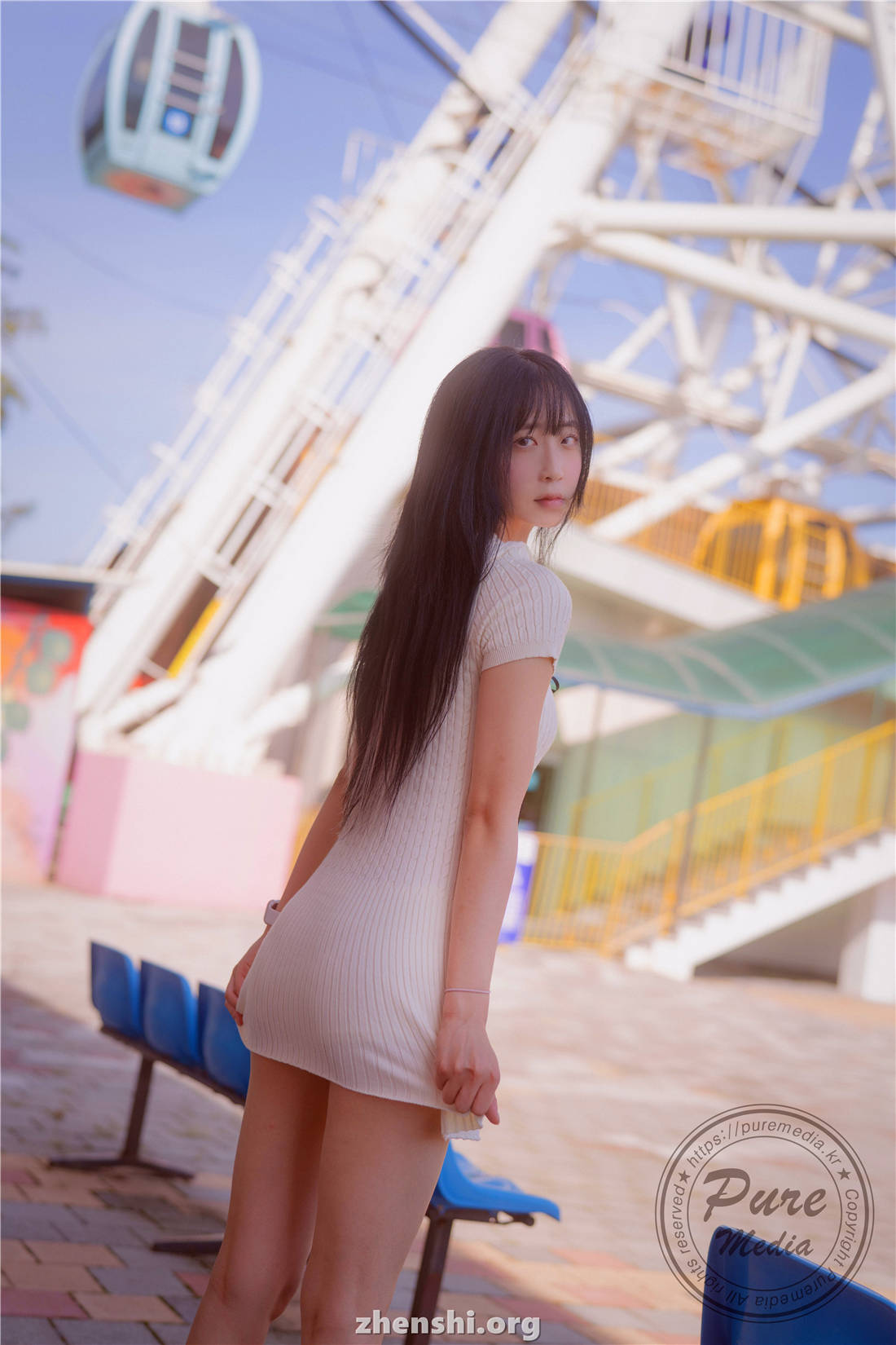 zhenshi.org (2)