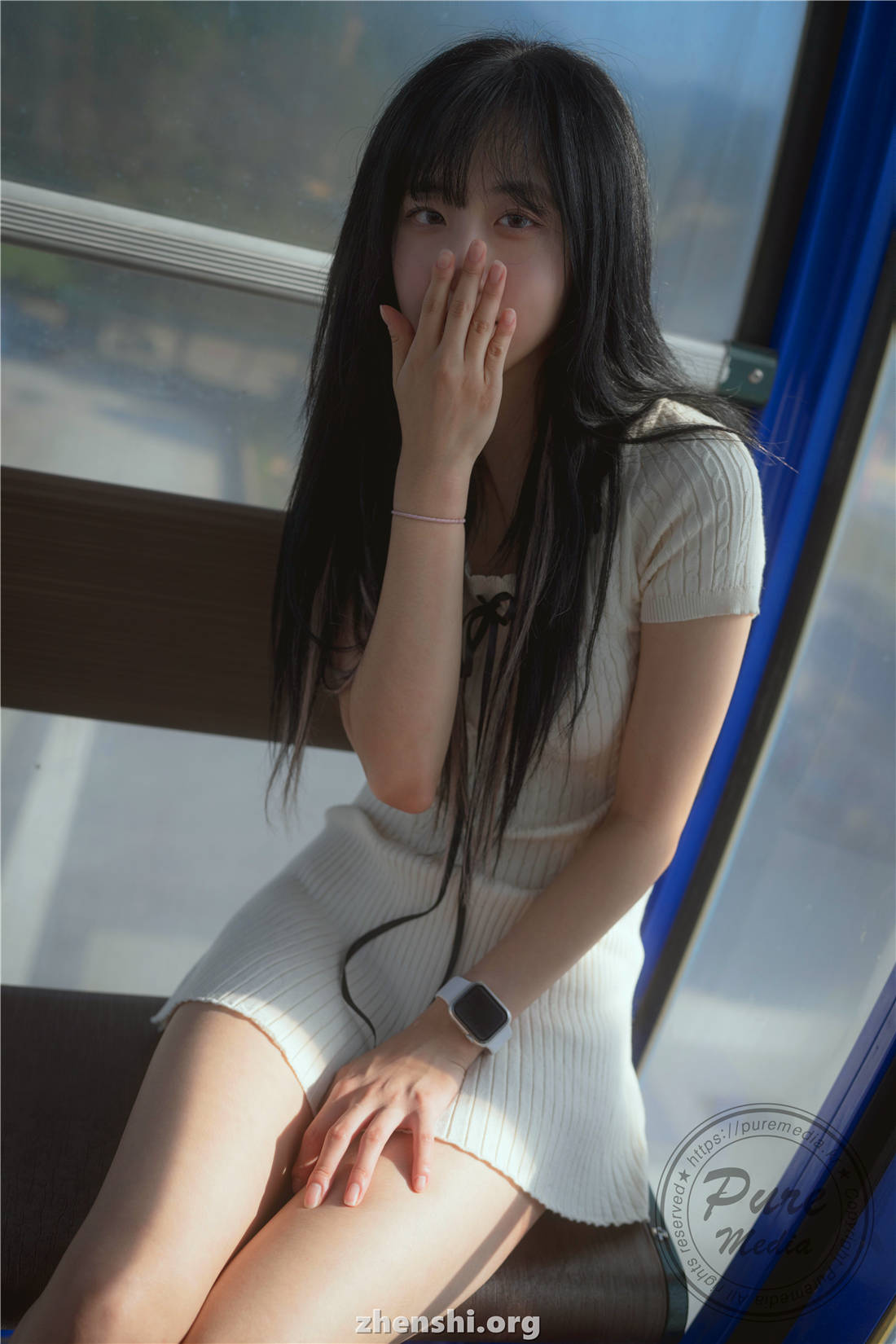 zhenshi.org (4)