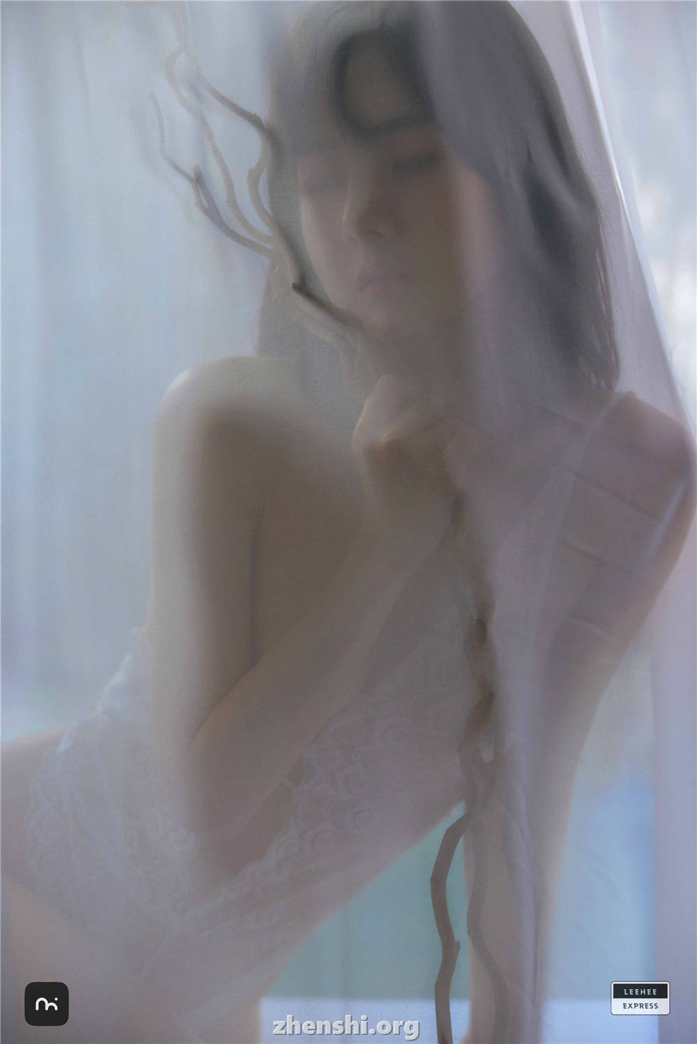 zhenshi (49)