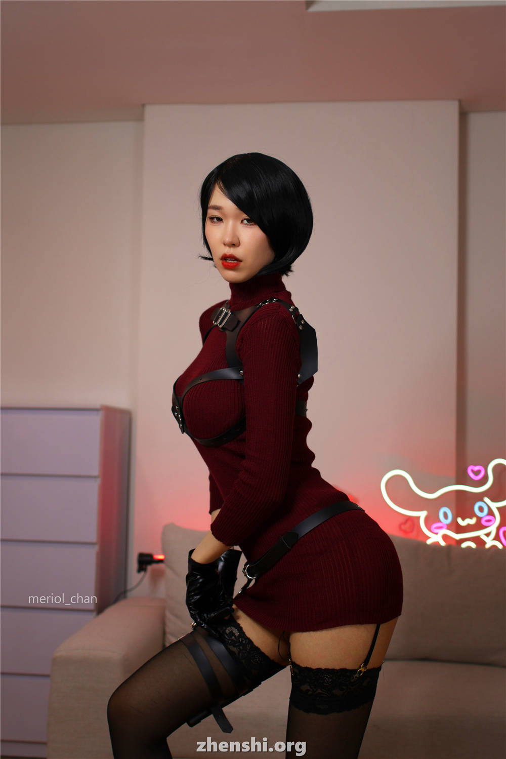 zhenshi.org (5)