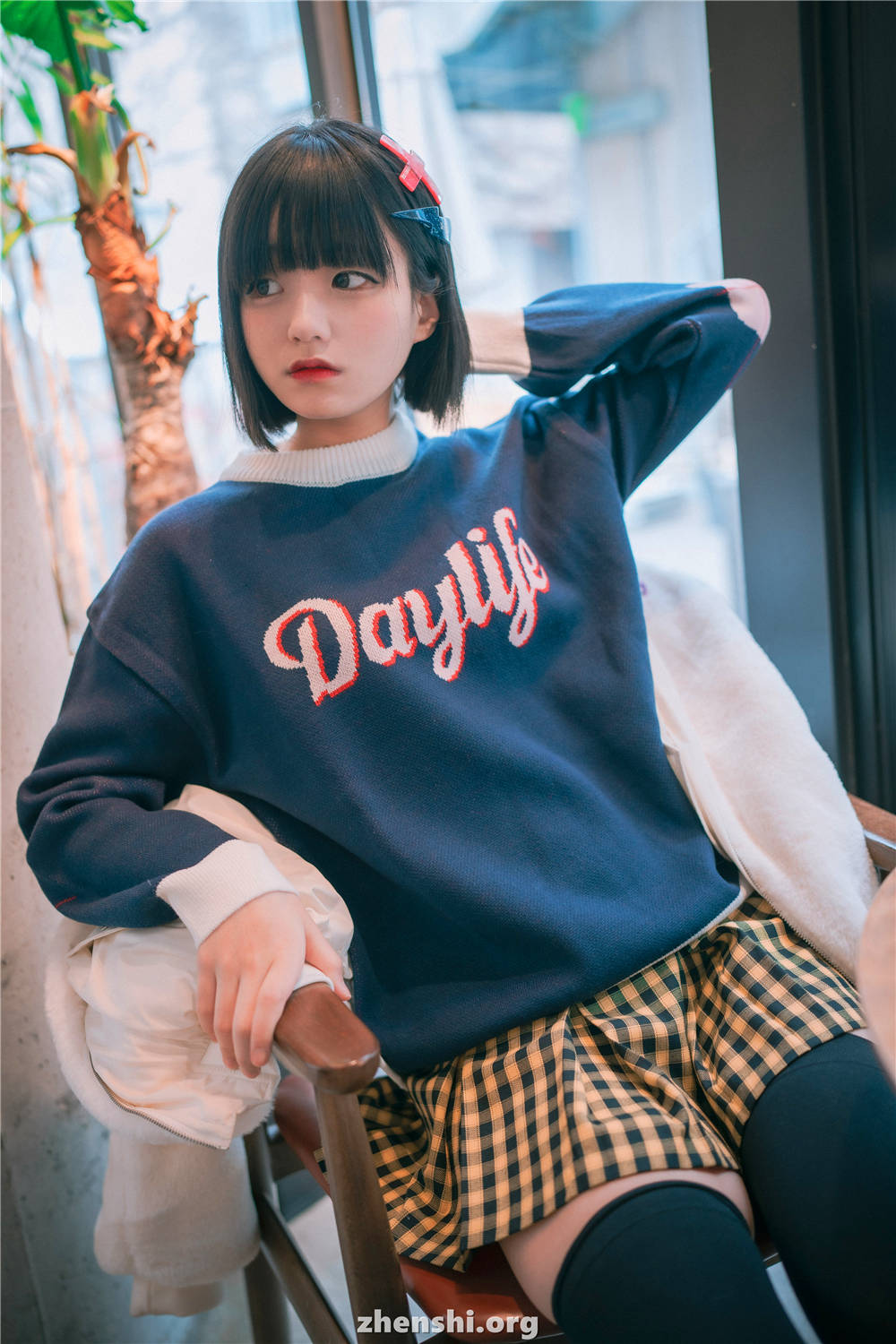 zhenshi.org (2)