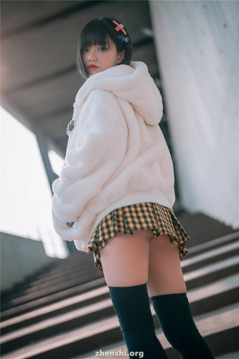 zhenshi.org (18)