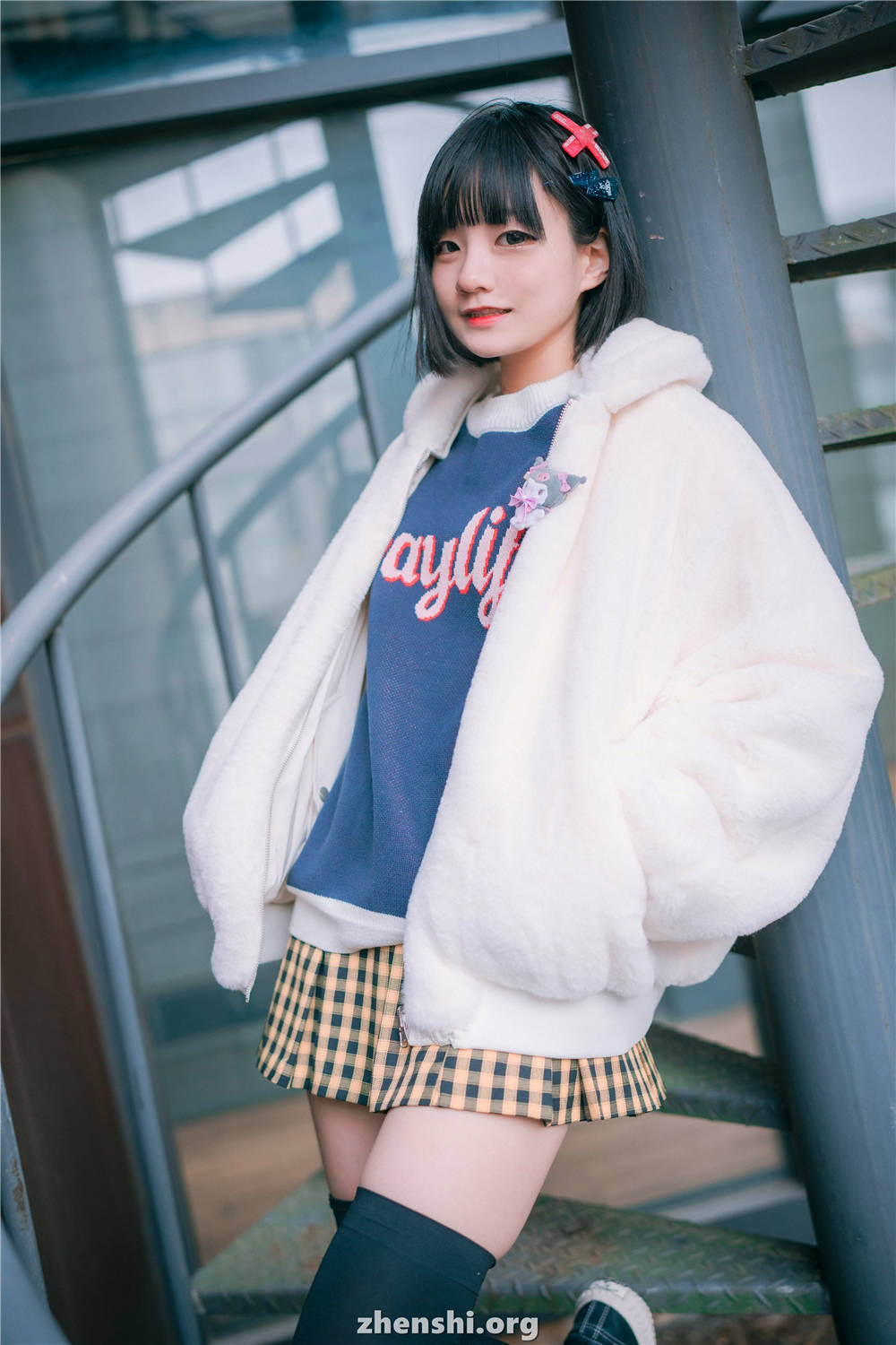 zhenshi.org (48)