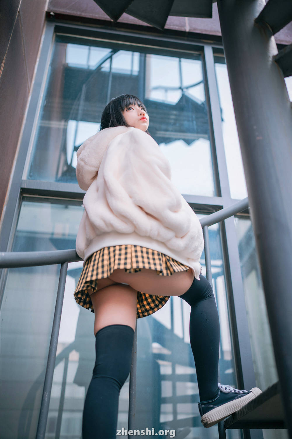 zhenshi.org (52)