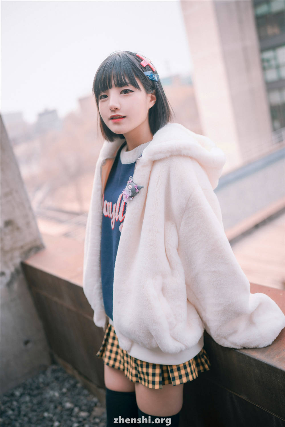 zhenshi.org (53)