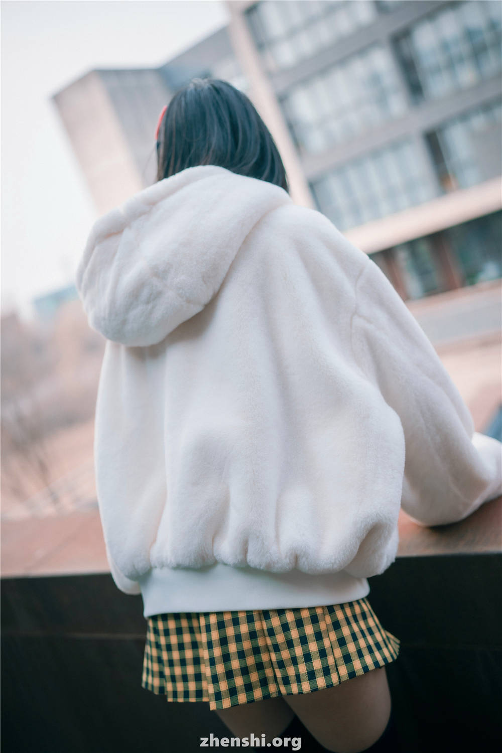 zhenshi.org (54)