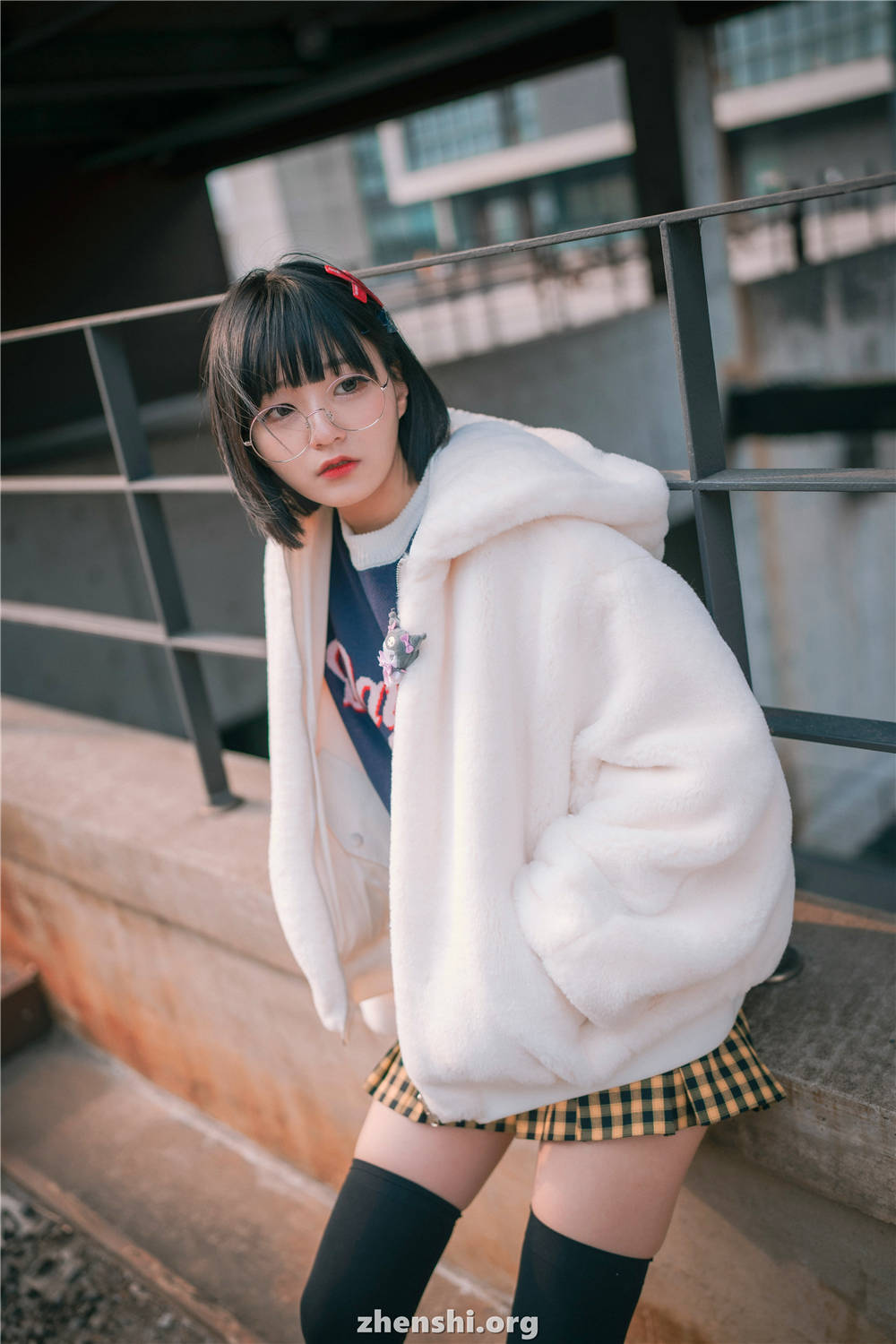 zhenshi.org (58)
