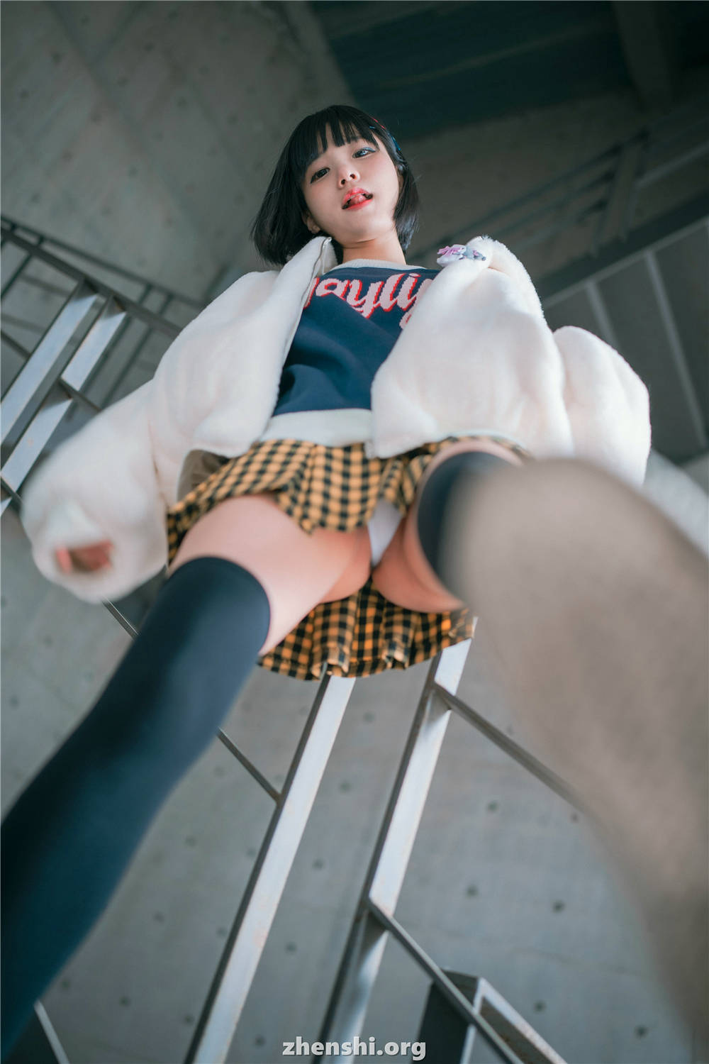 zhenshi.org (61)