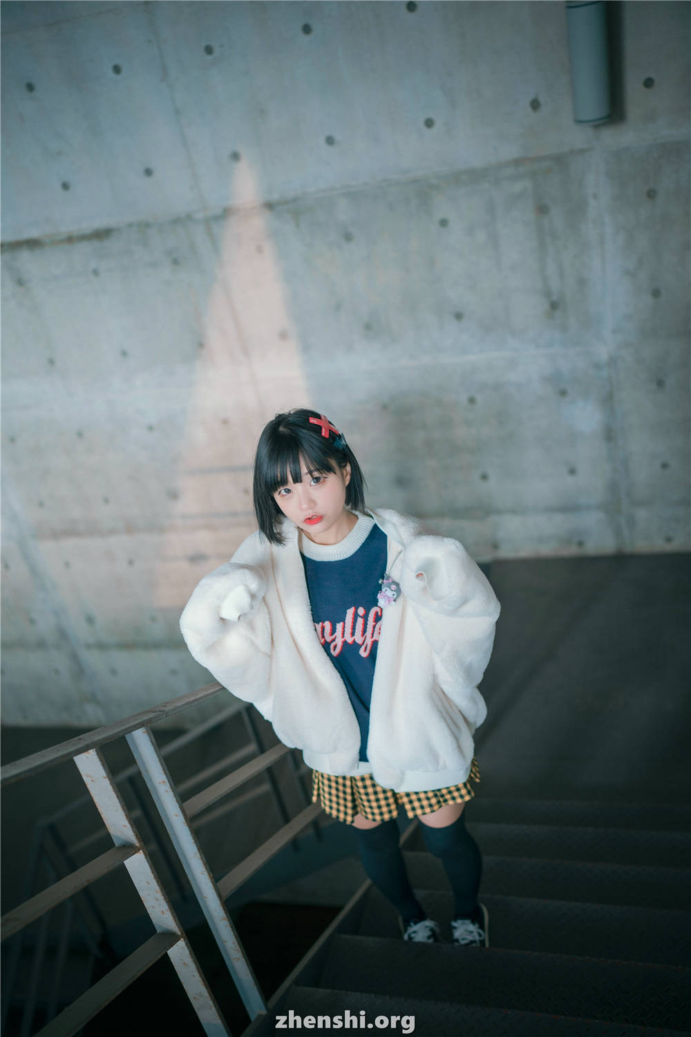 zhenshi.org (63)