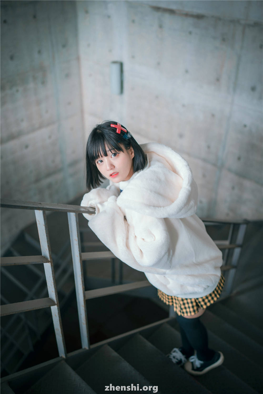 zhenshi.org (65)
