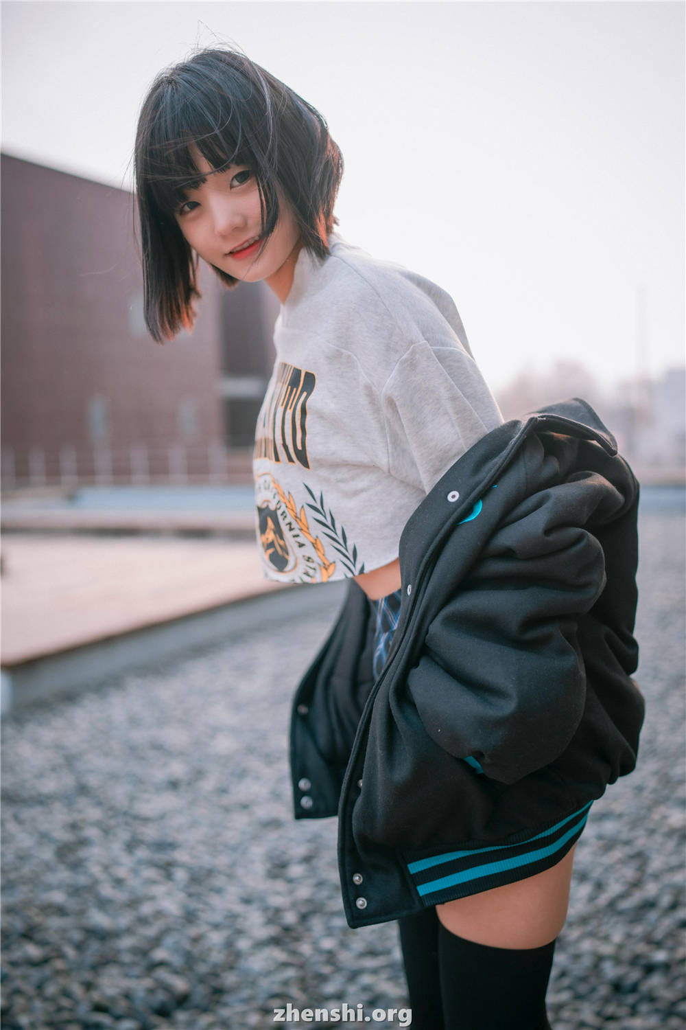 zhenshi.org (70)