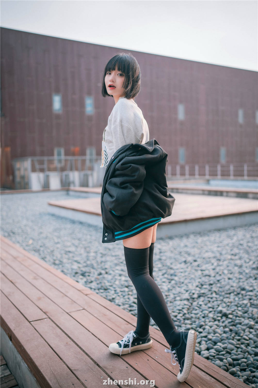 zhenshi.org (71)