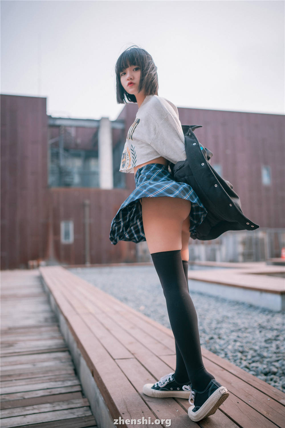 zhenshi.org (72)