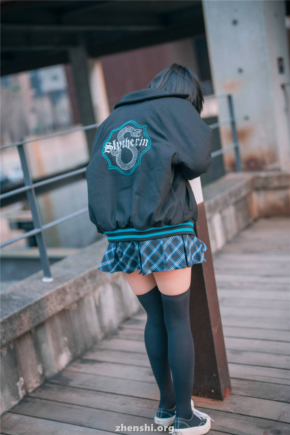 zhenshi.org (79)