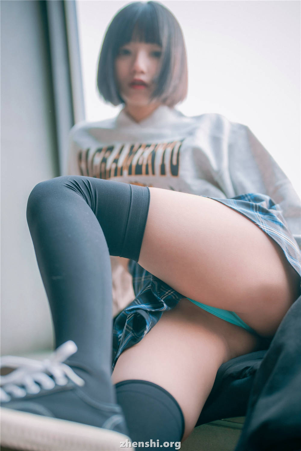 zhenshi.org (91)