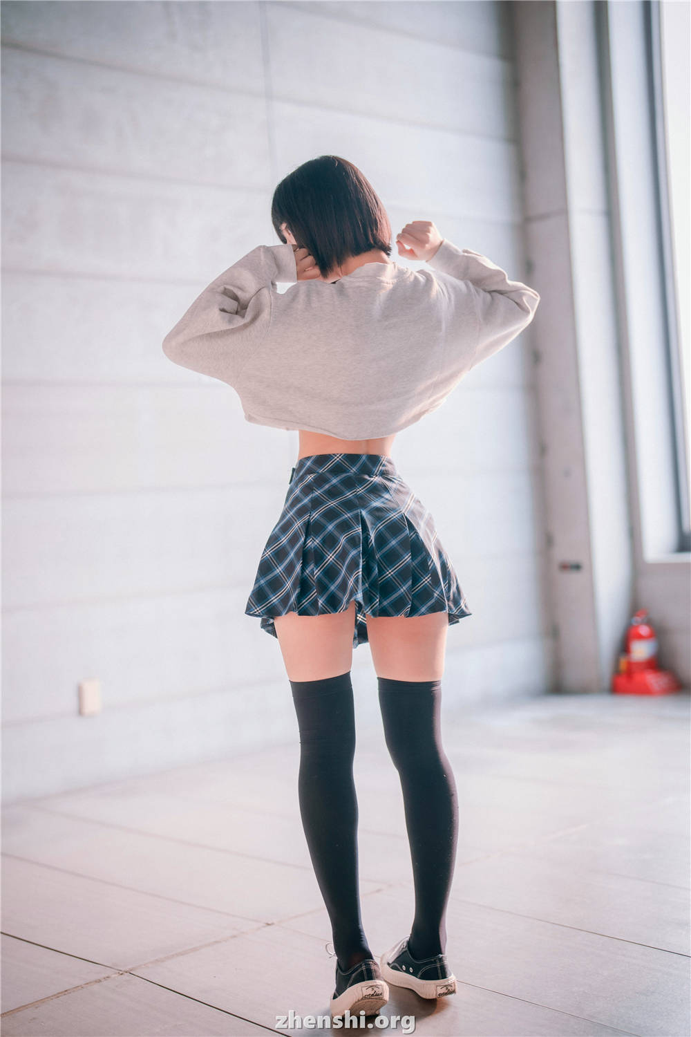 zhenshi.org (100)