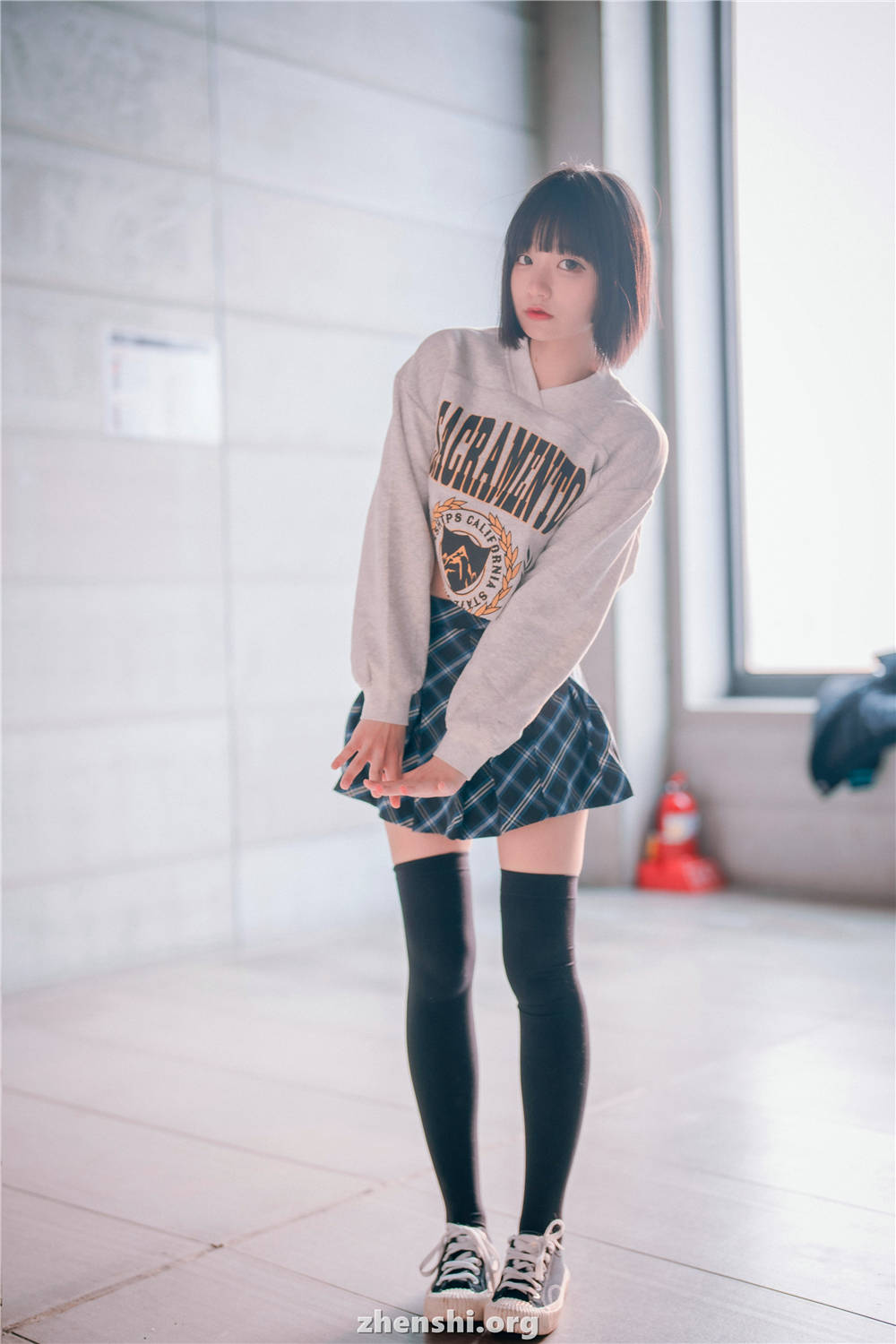 zhenshi.org (101)