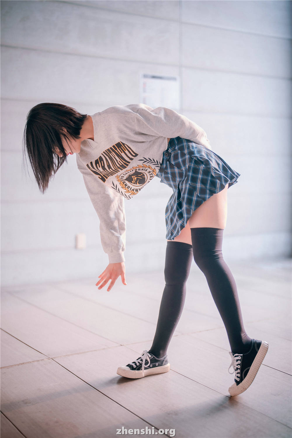 zhenshi.org (102)