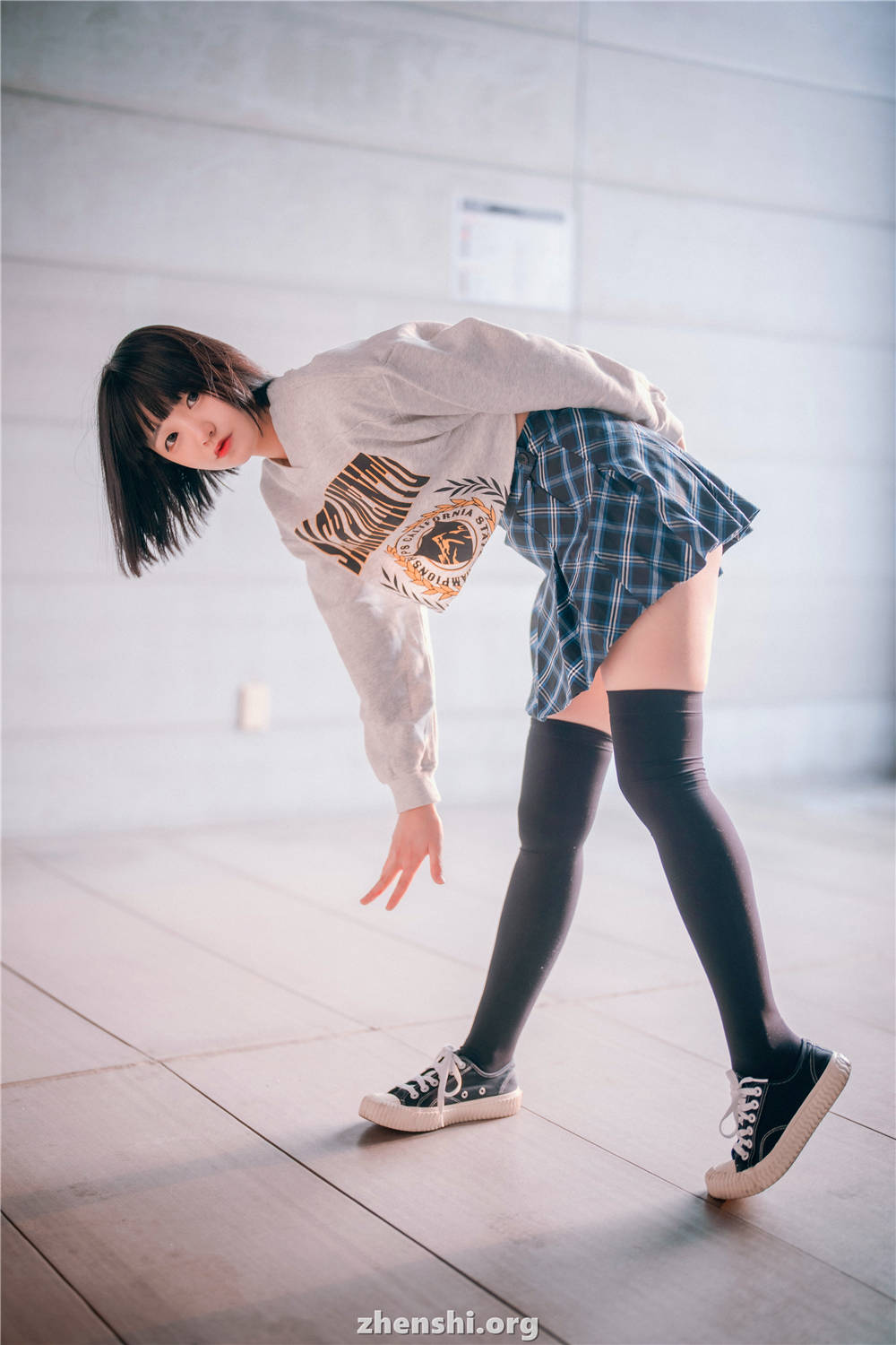 zhenshi.org (103)