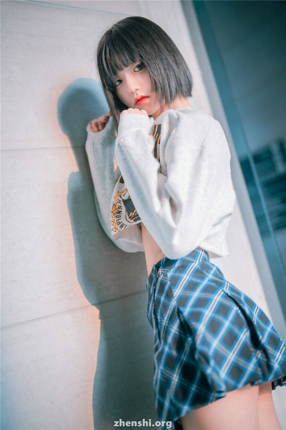 zhenshi.org (117)