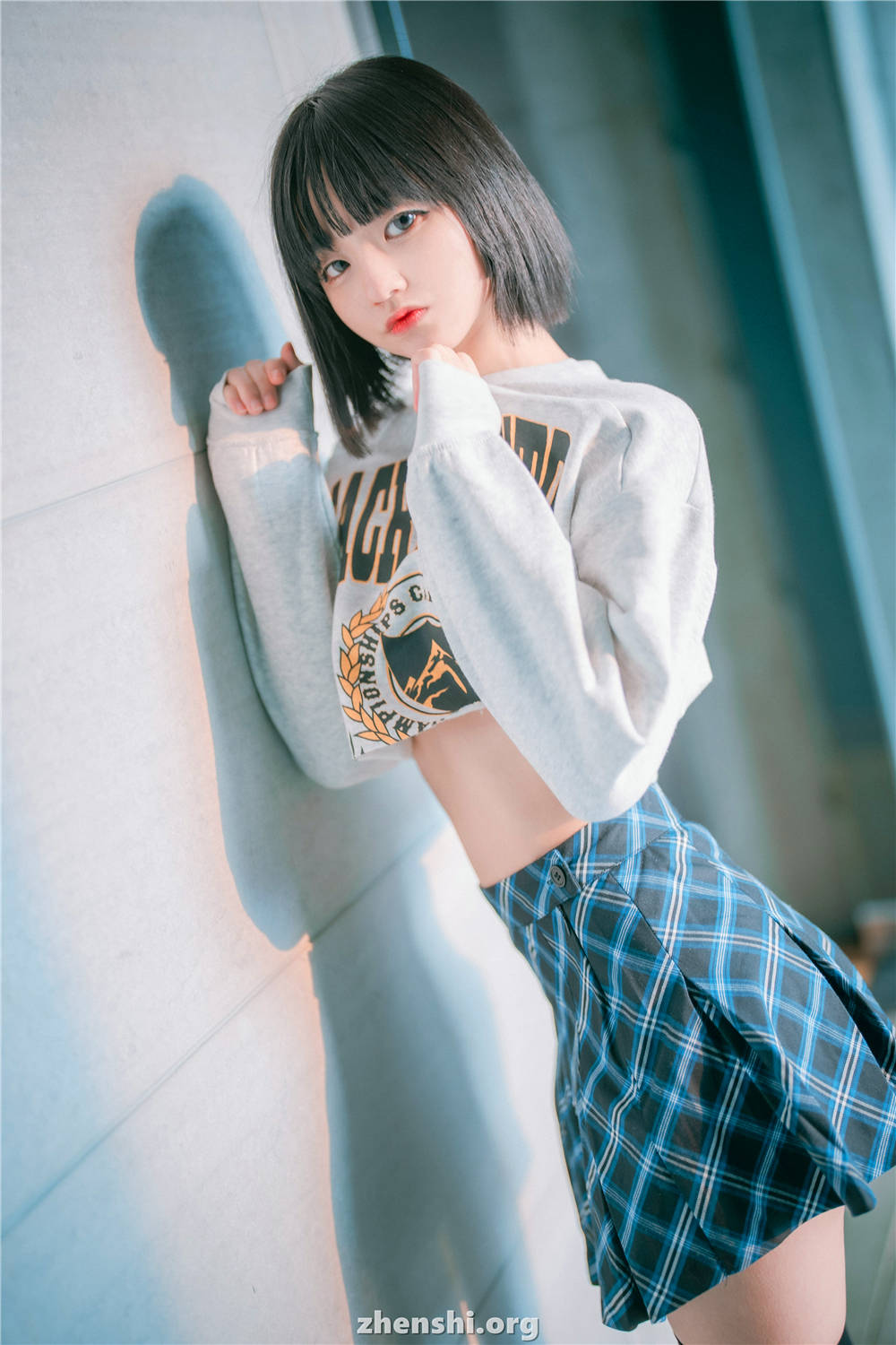 zhenshi.org (118)