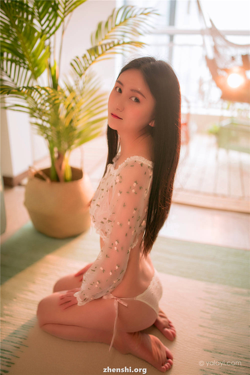 zhenshi.org (6)