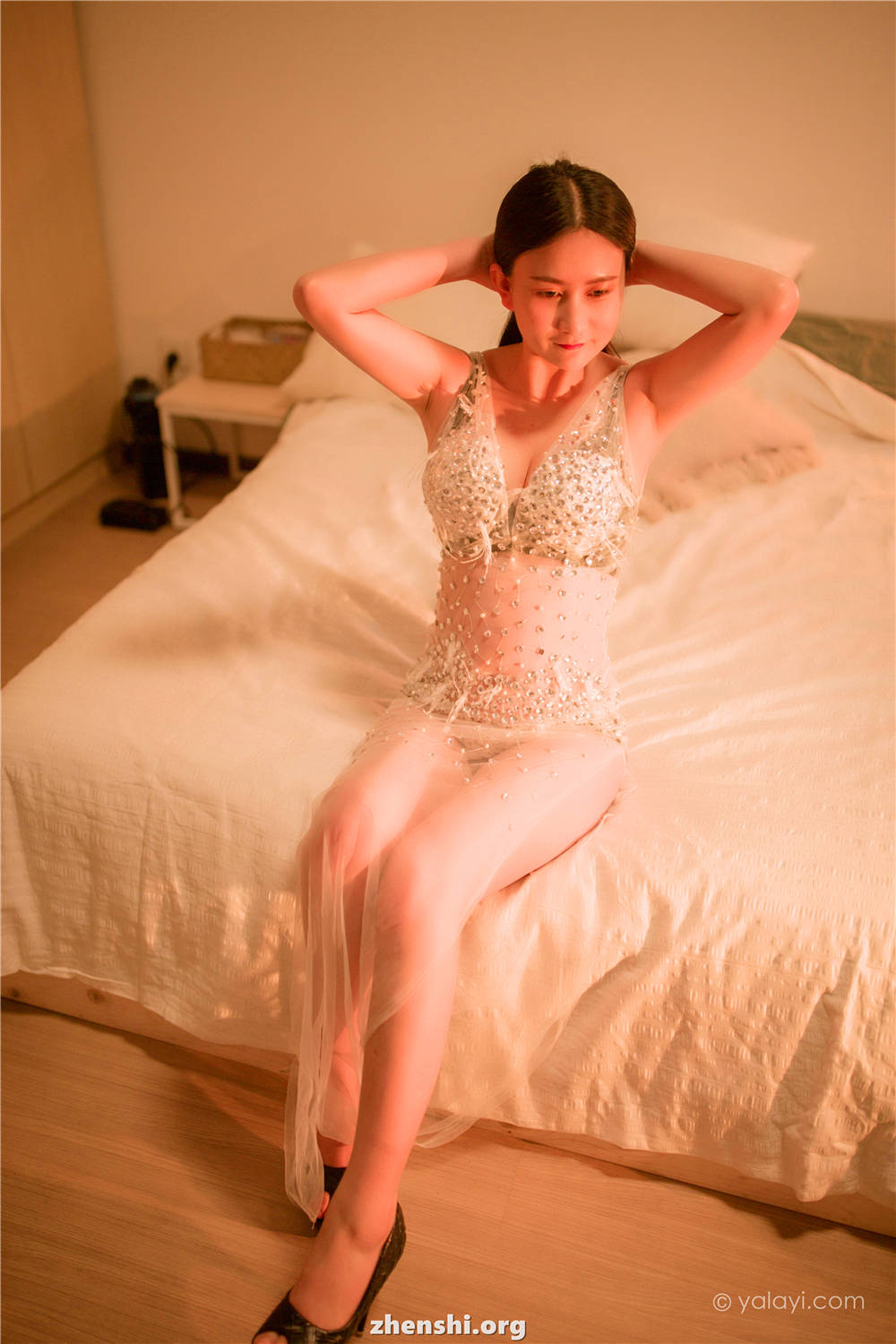 zhenshi.org (17)