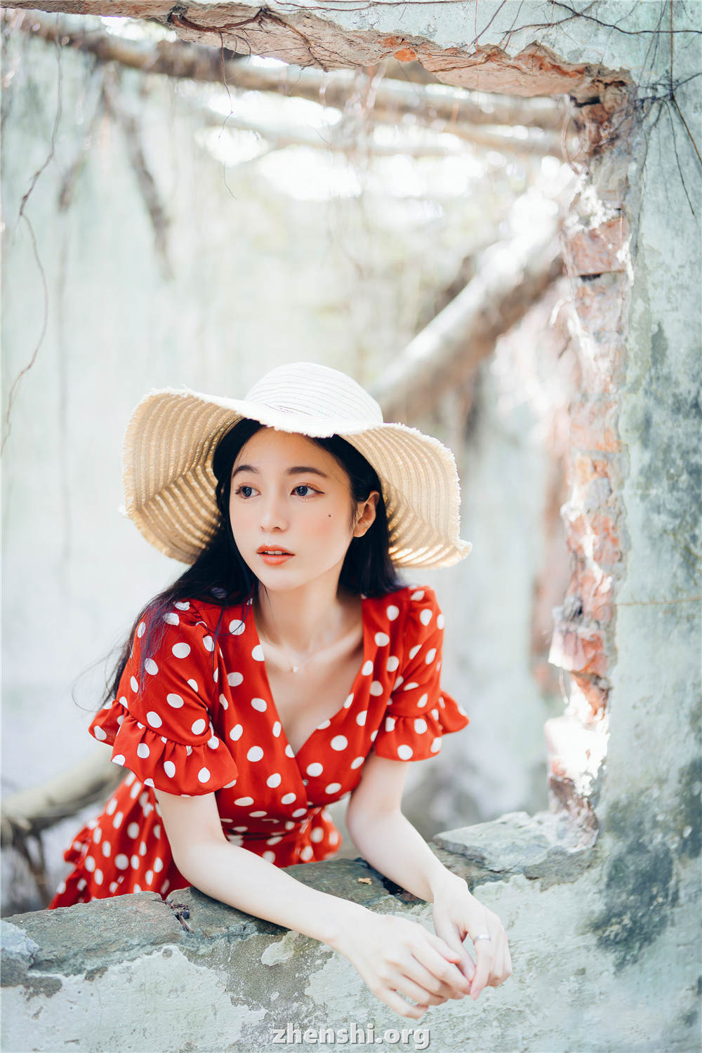 Chenchen_zhenshi.org (2)