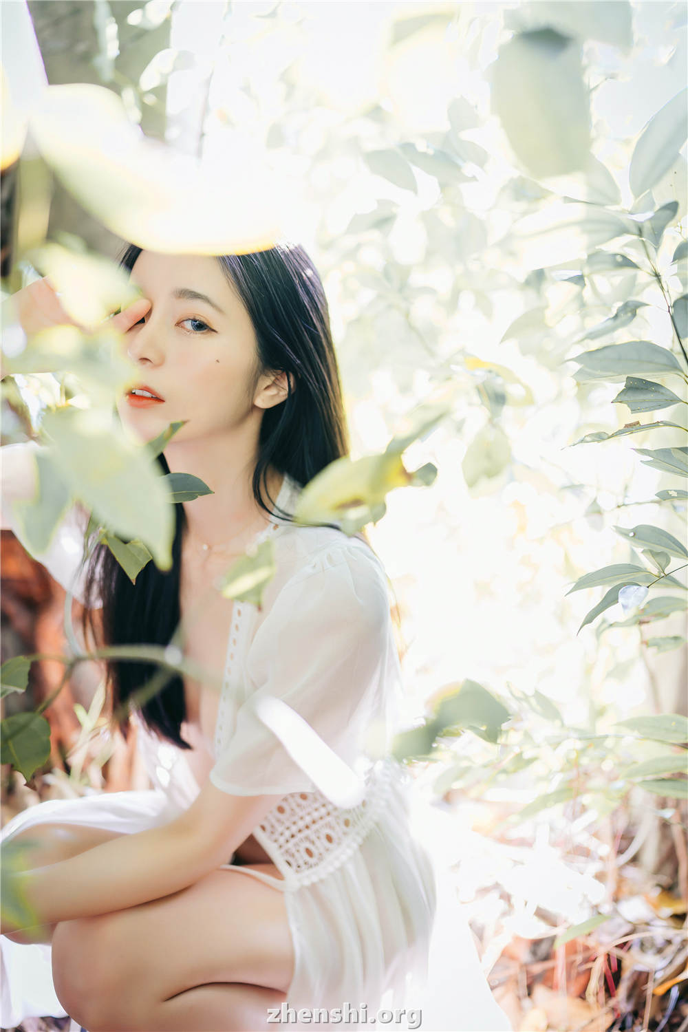 Chenchen_zhenshi.org (92)