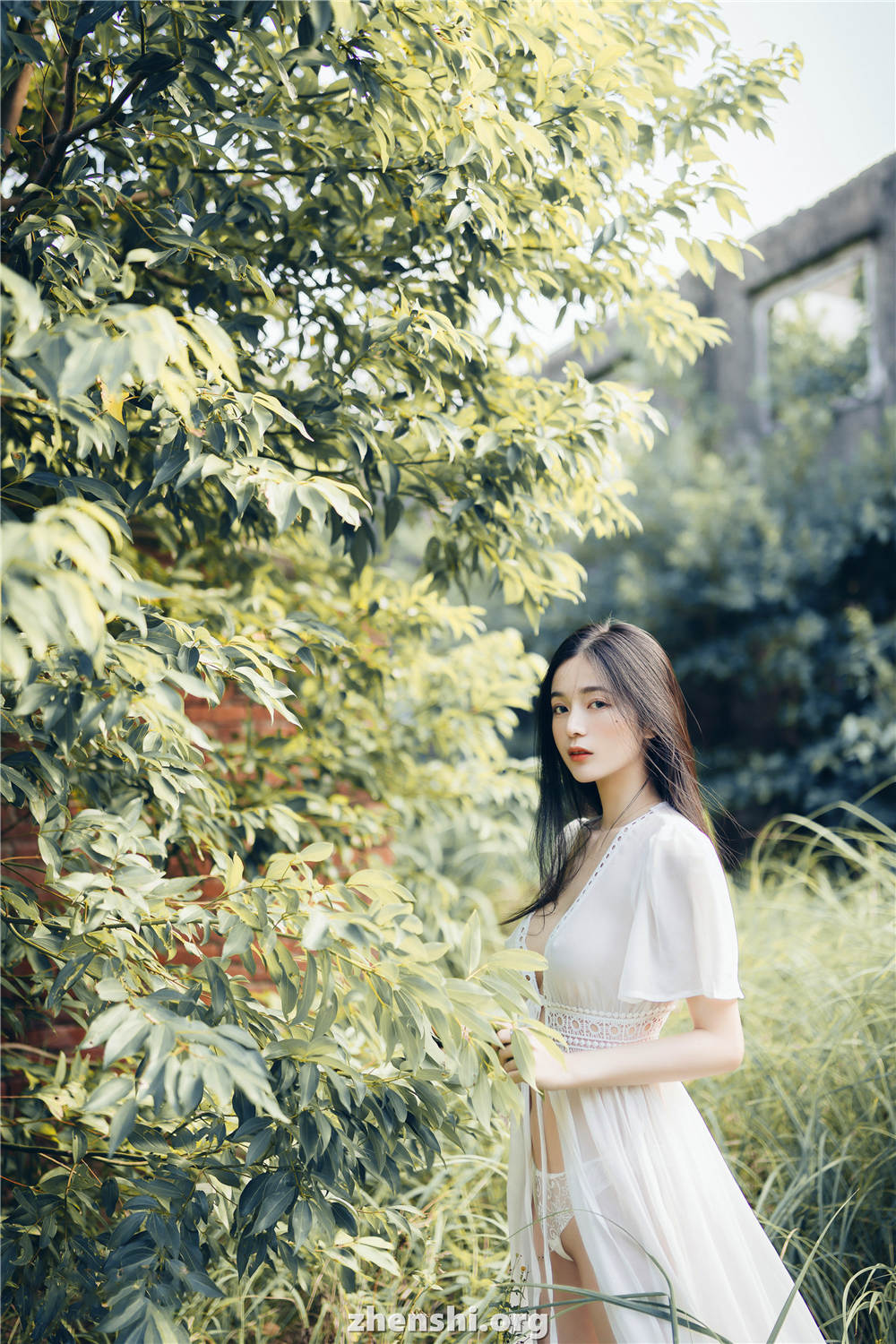Chenchen_zhenshi.org (100)
