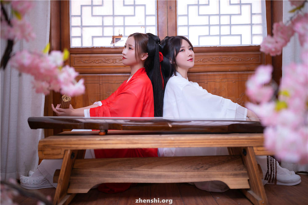 zhensh.org (28)