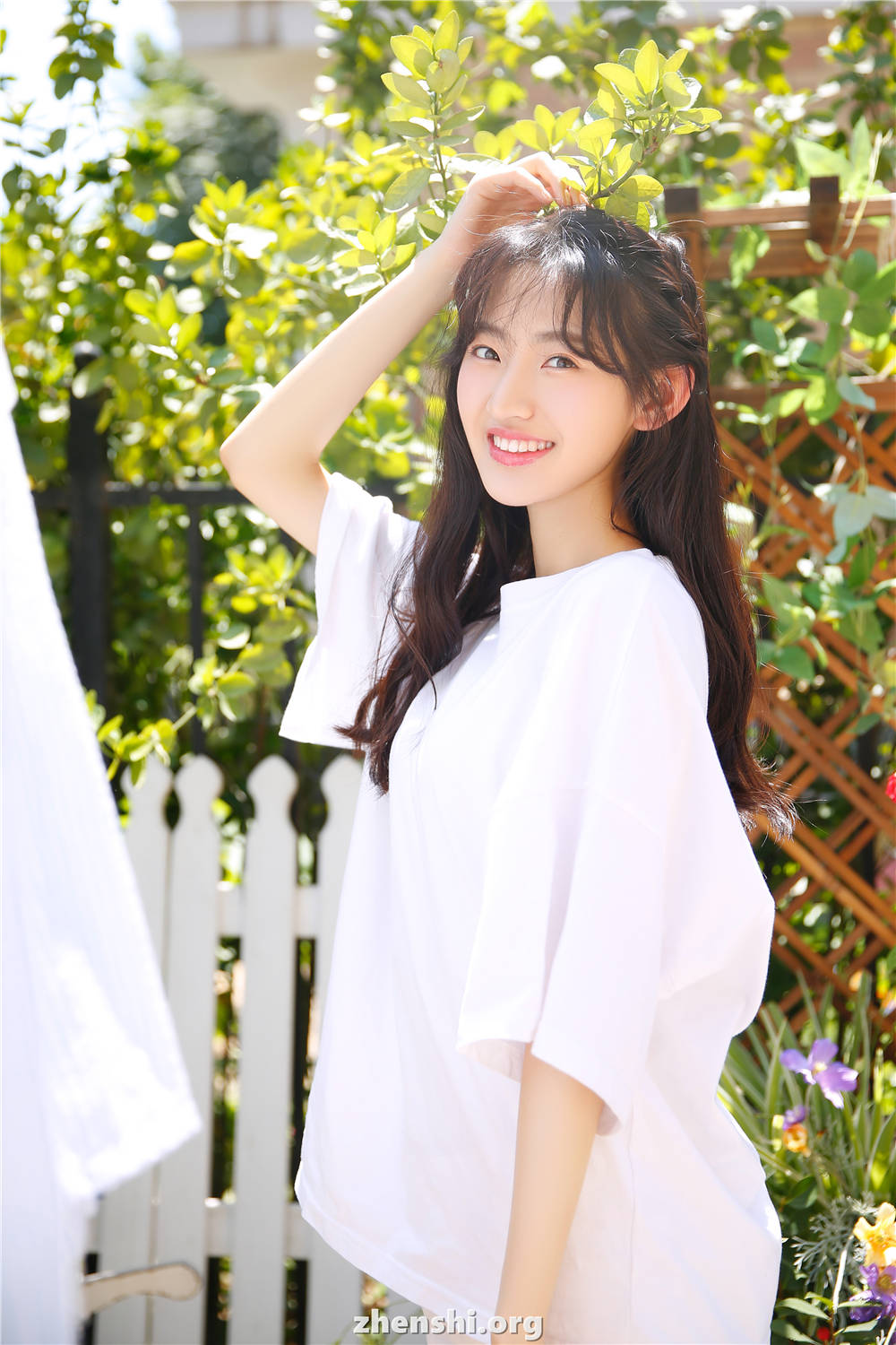 zhenshi.org (2)