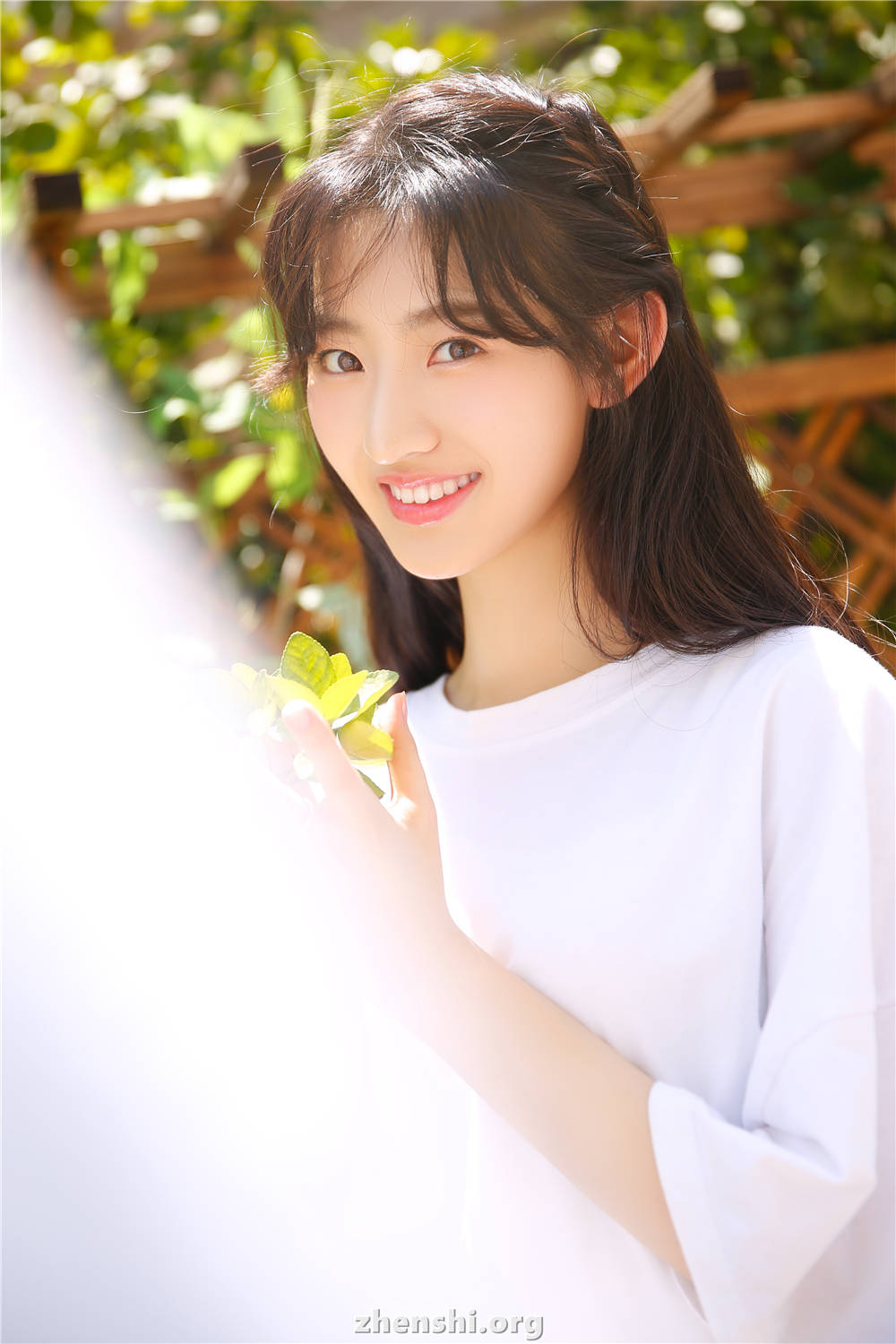 zhenshi.org (3)