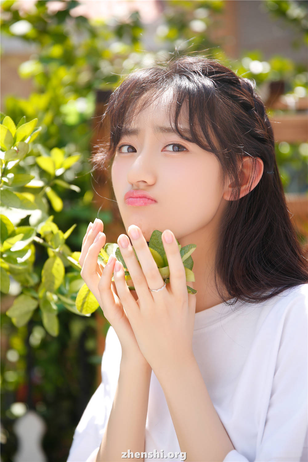 zhenshi.org (4)
