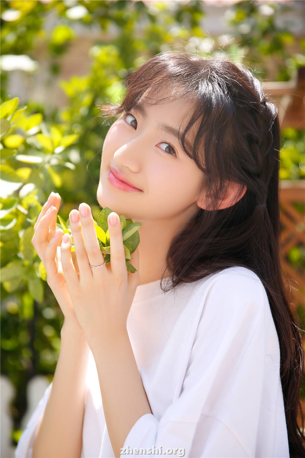 zhenshi.org (5)
