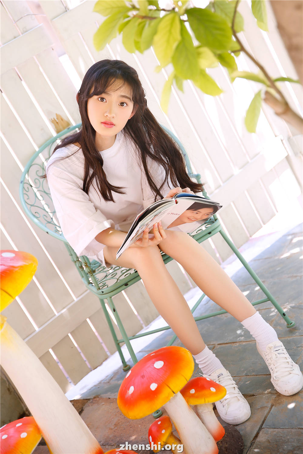 zhenshi.org (6)