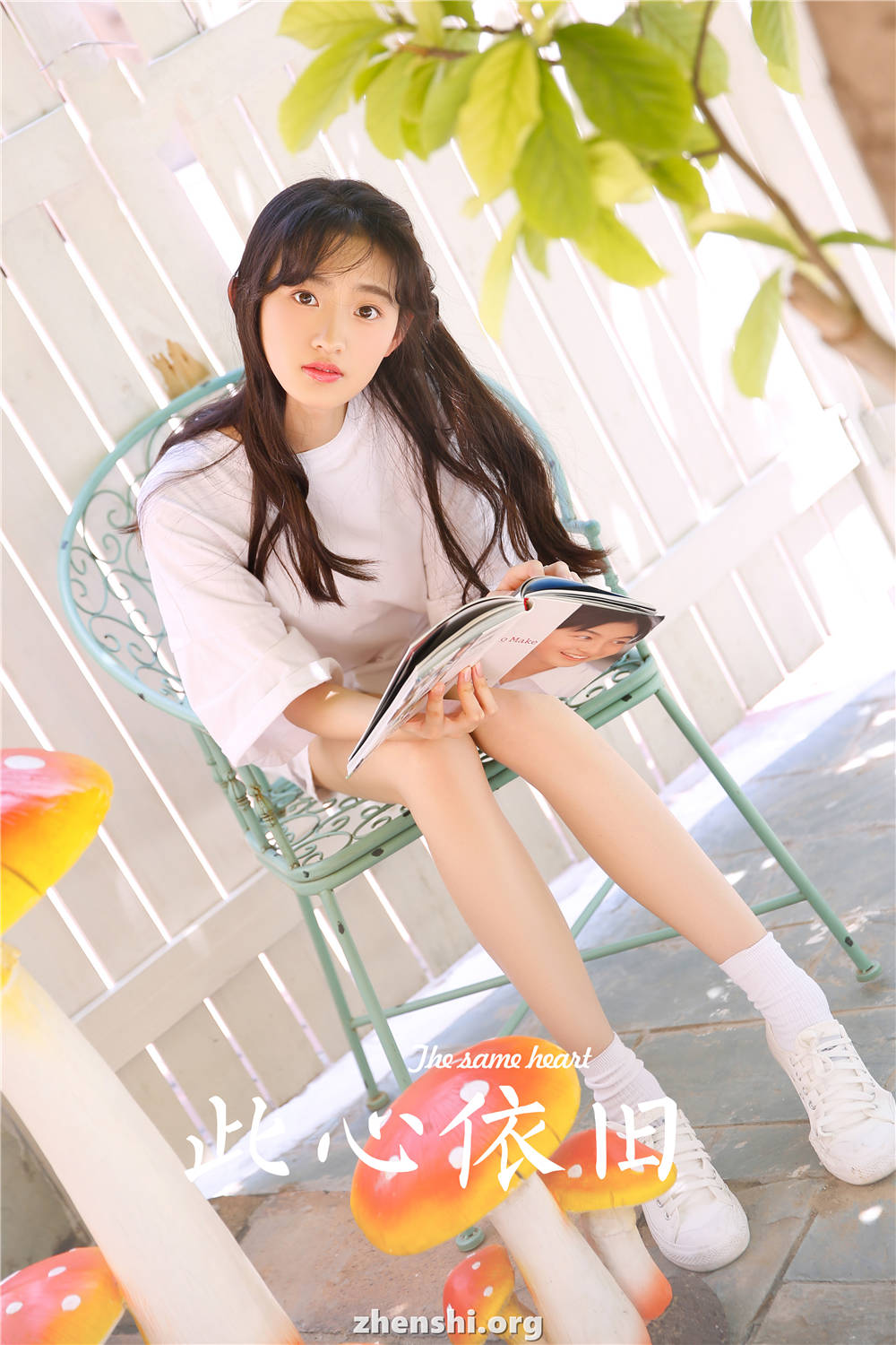 zhenshi.org (25)