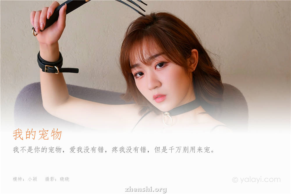 zhenshi.org (1)