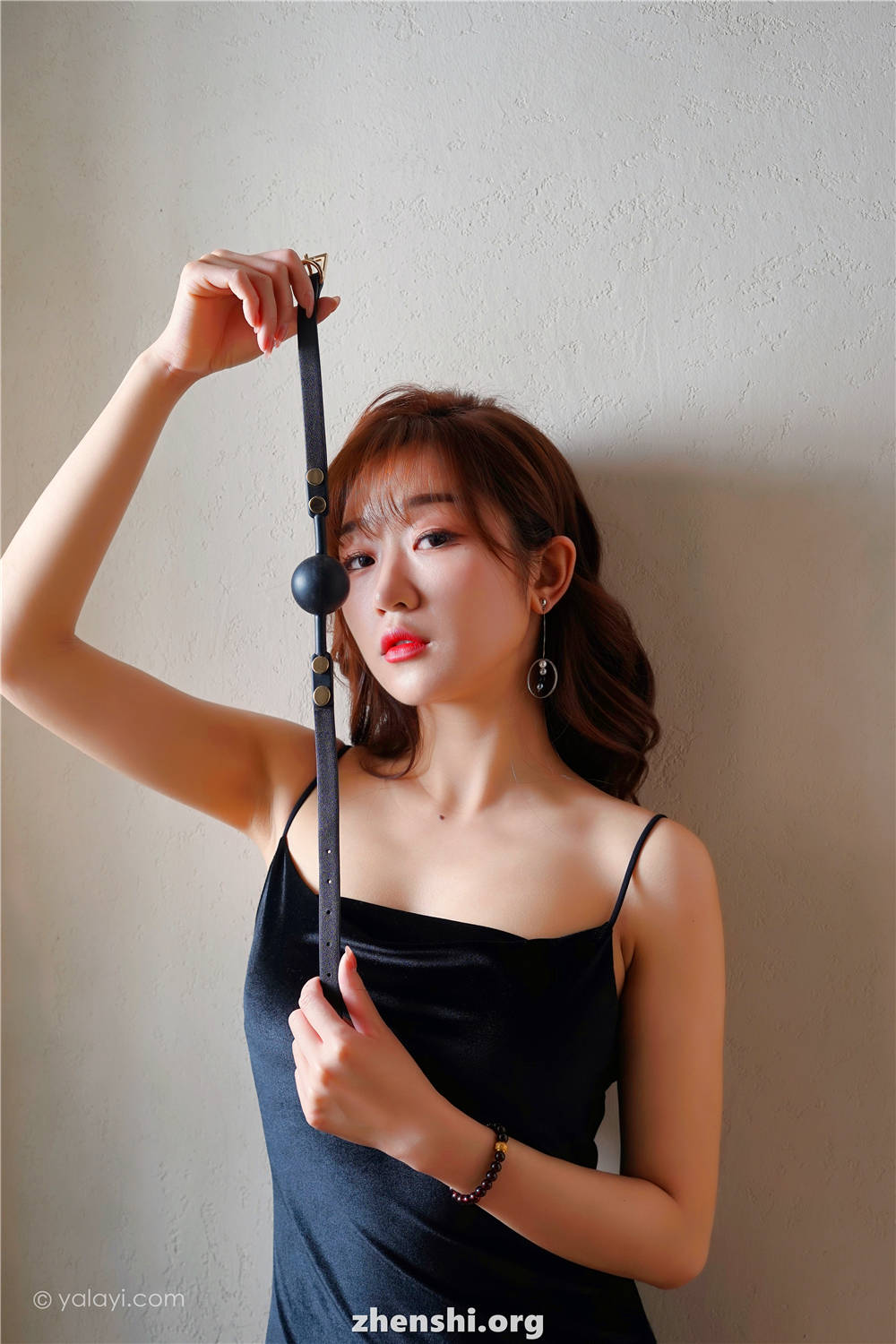 zhenshi.org (4)