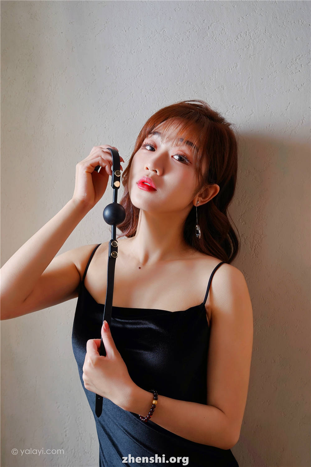 zhenshi.org (3)