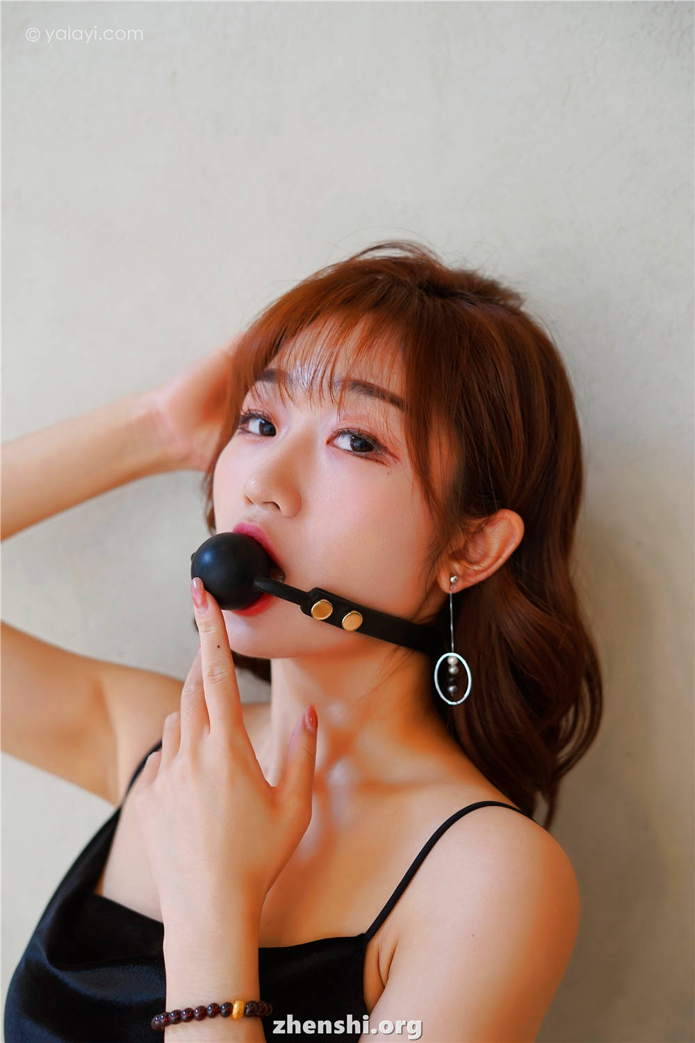 zhenshi.org (5)