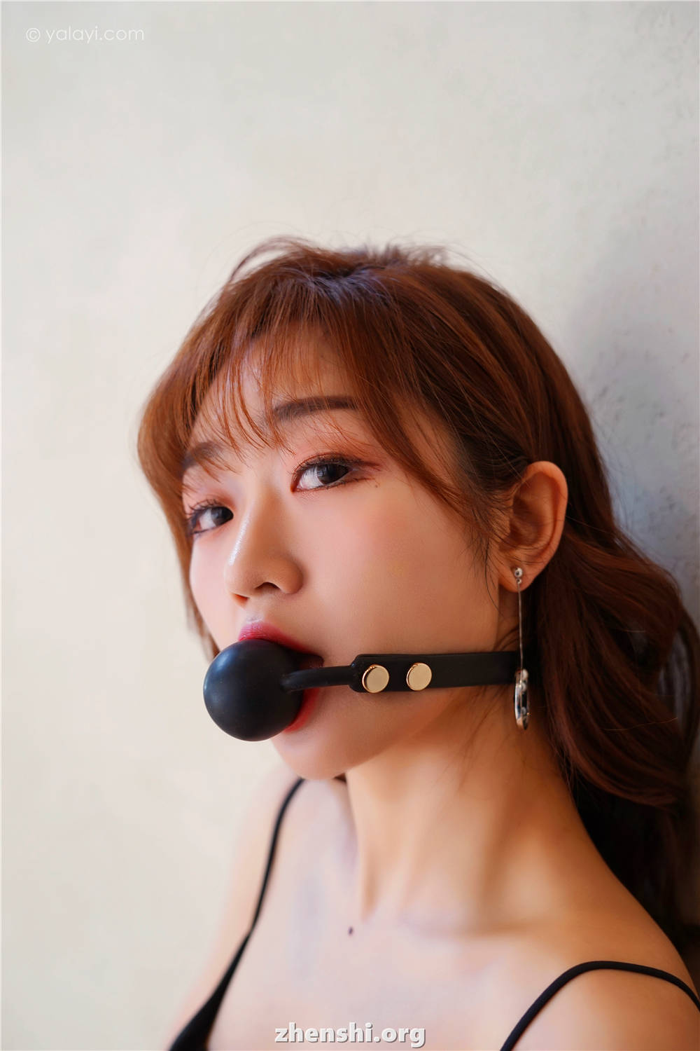 zhenshi.org (6)
