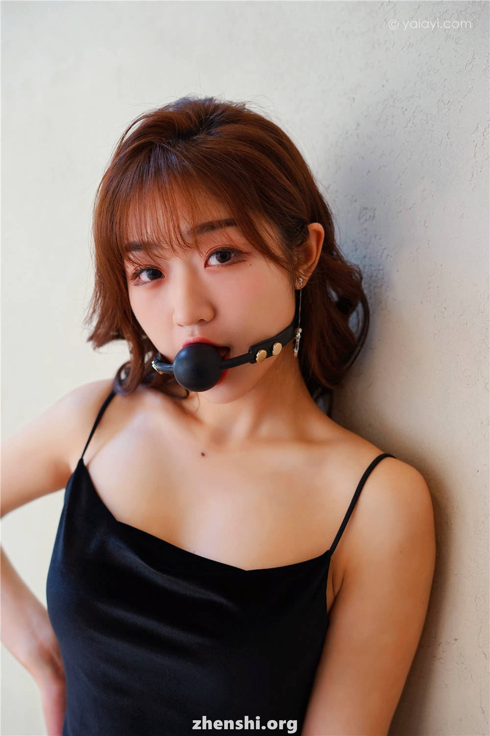zhenshi.org (7)