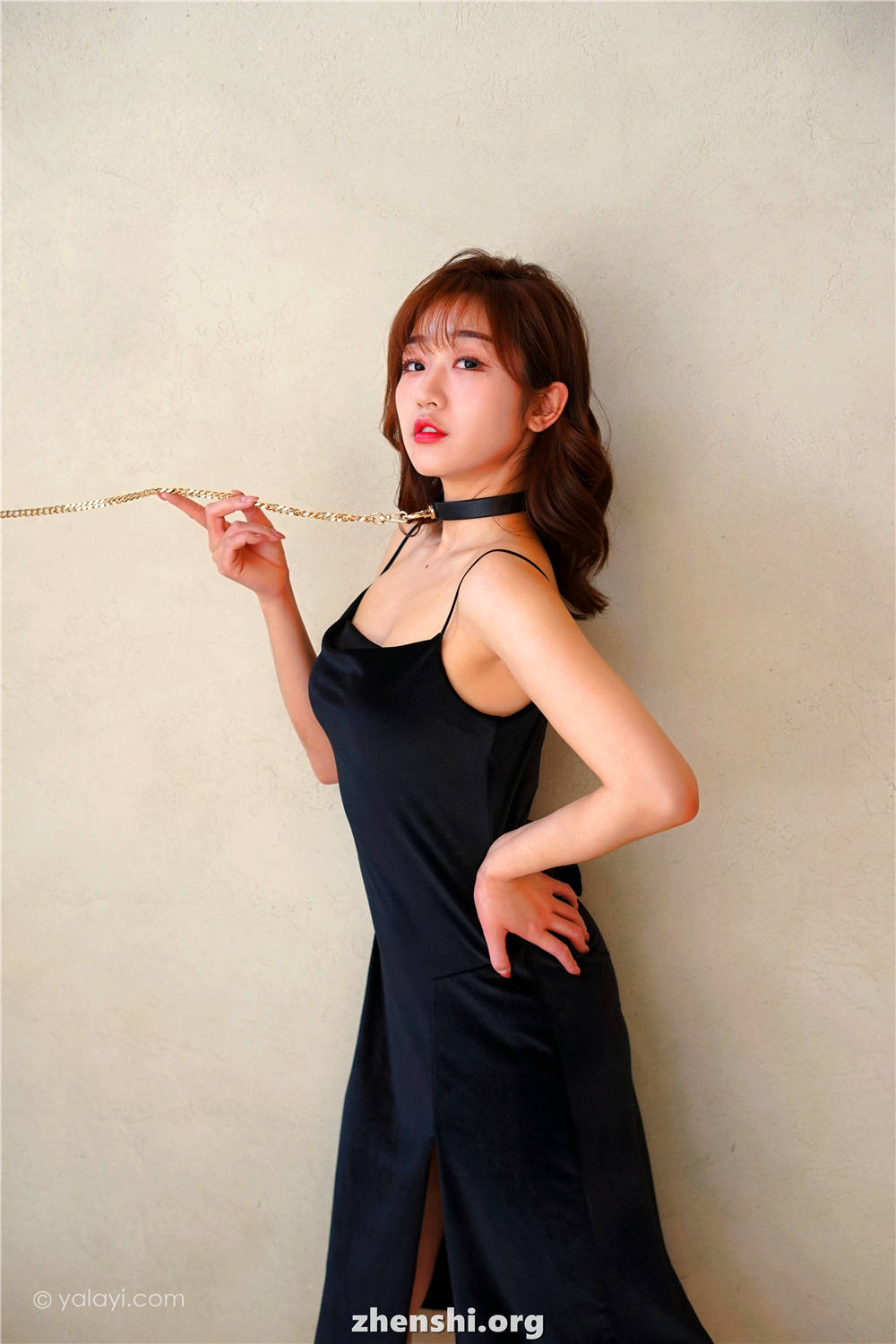 zhenshi.org (8)