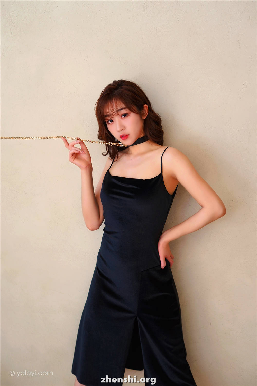 zhenshi.org (9)
