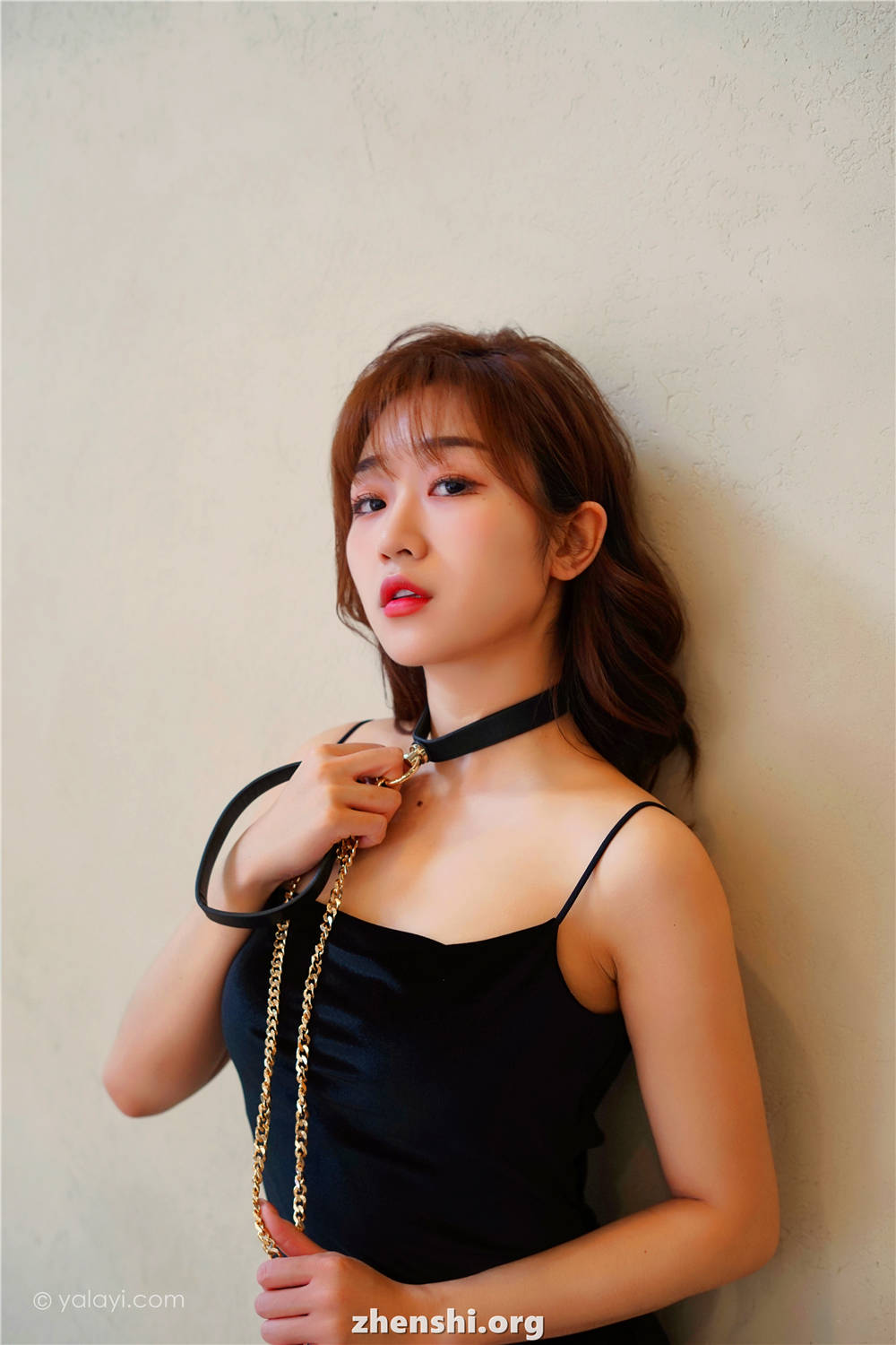 zhenshi.org (11)