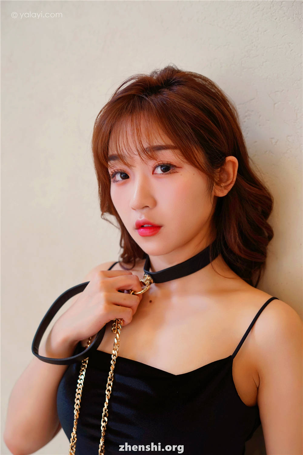zhenshi.org (12)