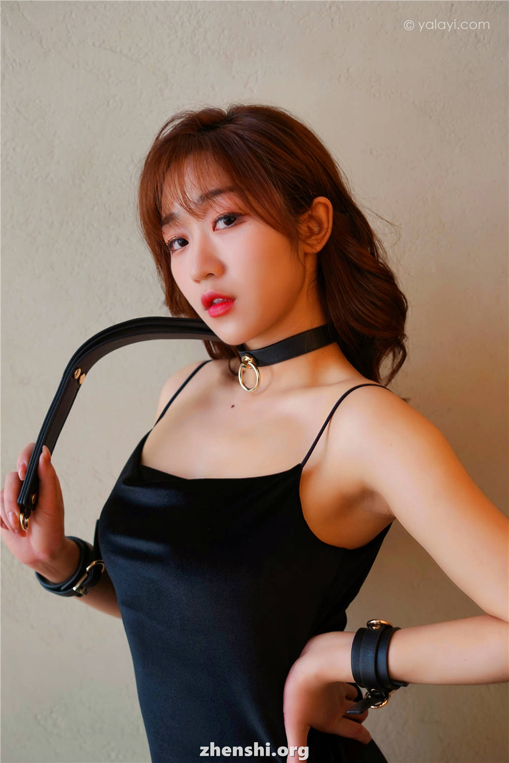 zhenshi.org (24)